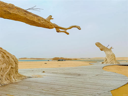 五一4日【蒙西秘境】一半沙漠一半海の网红乌海-西部梦幻峡谷-涝利海-五当召-美岱召-呼市 商品图2