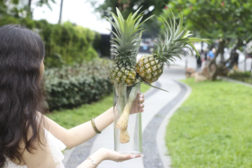 动感光波—快乐水培菠萝