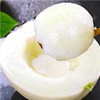 【网红爆款】山东蜜露流星甜瓜  月露、梦露甜瓜 新鲜当季甜瓜 商品缩略图2