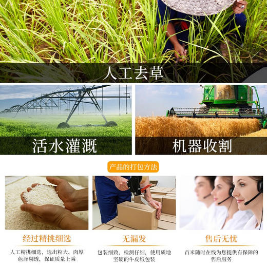 首米 五常大米 有机稻花香大米 5kg 有机牛卡礼盒 商品图6