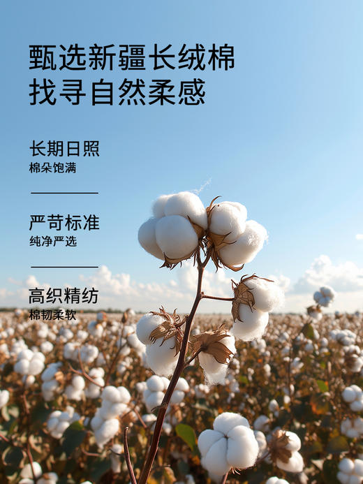 佳丽斯100支长绒棉四件套轻奢高级感绣全棉纯棉2024新款被套床单 商品图3
