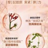 娇韵诗焕颜弹力日霜（清爽型）50ml{专柜渠道} 商品缩略图4