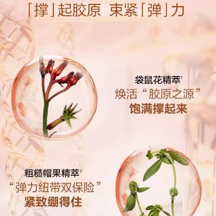 娇韵诗焕颜弹力日霜（清爽型）50ml{专柜渠道} 商品图4