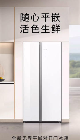 【限天津区域】西门子/冰箱/KA92EA220C