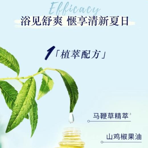 欧舒丹清新马鞭草香氛淋浴啫喱500ML{专柜渠道} 商品图4