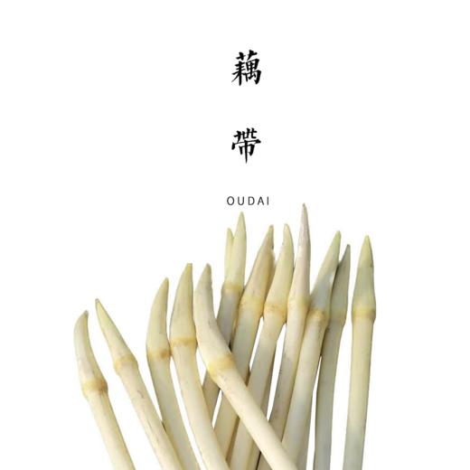 合作 | 藕带 300g*4份【基地直发】产地：湖北 商品图0