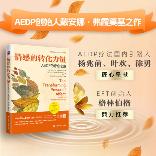 情感的转化力量：AEDP的疗愈之路 商品图0