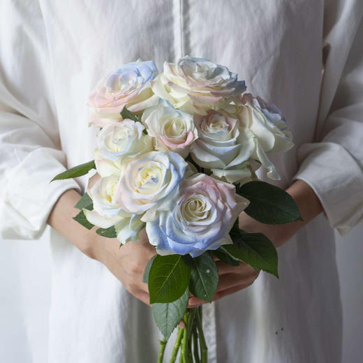 人鱼姬玫瑰，花期特别长，一束4-6支，一支4-10个花头 商品图0