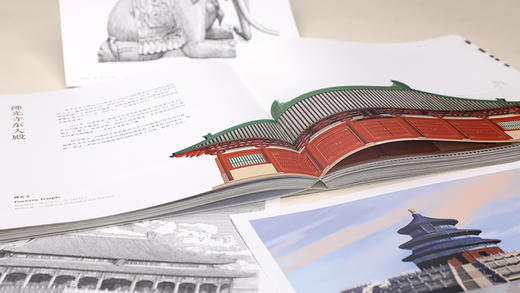 博物馆里看文明 图解中国建筑 中国建筑发展图景 原始聚落民居宫殿坛庙寺院石窟塔园林以及近现代建筑介绍书籍 梁昊 著 商品图3