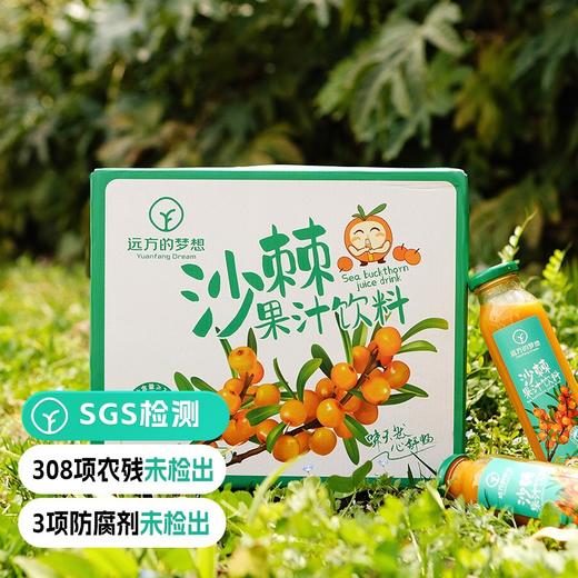 【远方检测SGS308项农残0检出内蒙古原始主义 沙棘果汁饮料】0色素0添加 源于自然 冰果鲜榨 酸甜可囗 健康又解腻 290ml*8瓶 商品图0