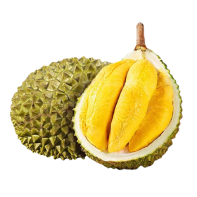 猫山王长柄榴莲 | 泰国进口