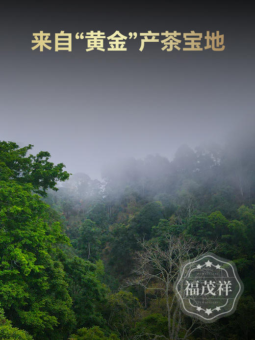 【银票】布朗之魂 老班章的前辈 2024年云南勐海茶区贺开普洱茶生茶茶饼1785g（1提5饼 商品图1