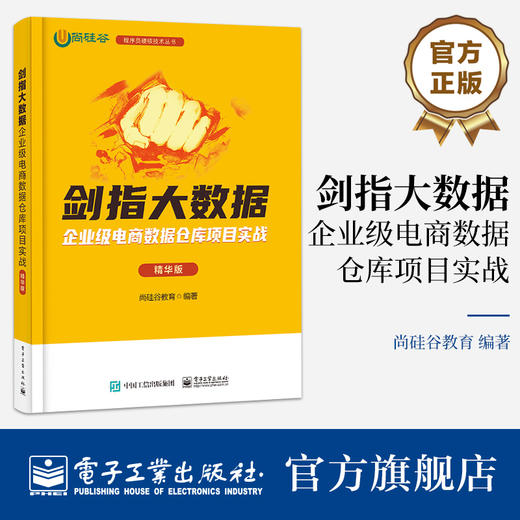 剑指大数据——企业级电商数据仓库项目实战（精华版） 商品图0