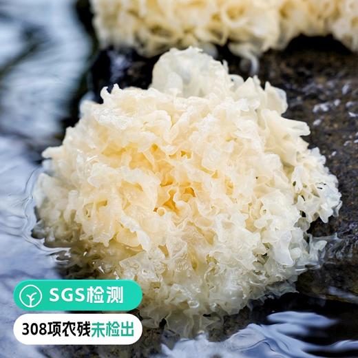 【远方检测308项农残未检出有机干银耳】仿野生种植 自带清香 低温烘干技术 7斤出1斤营养不流失 40分钟快速出胶 商品图0
