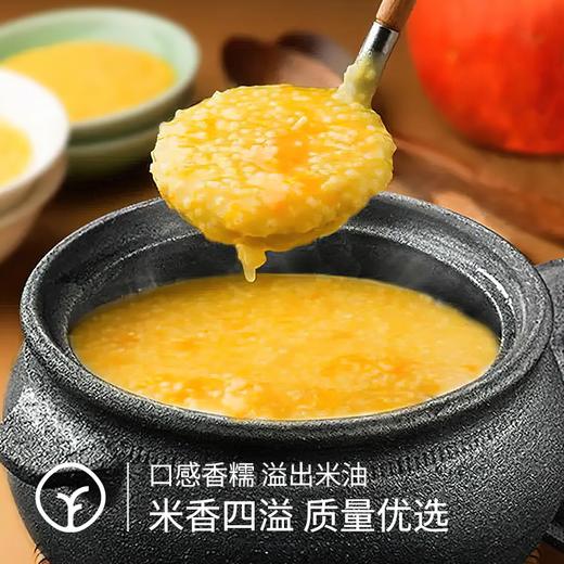 【远方检测SGS308项农残未检出敖汉有机小米】8000年种植老小米 产自世界环境五百佳的敖汉 商品图2