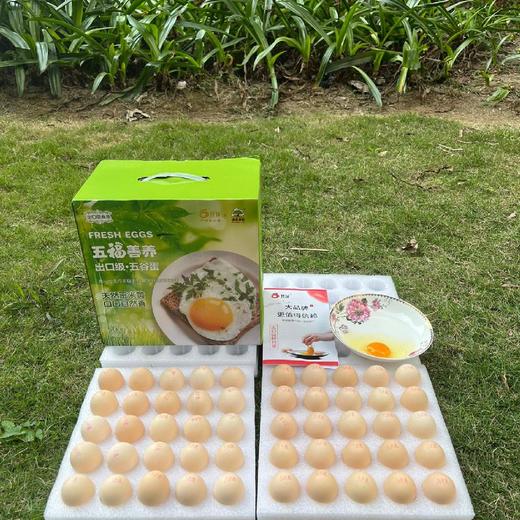 福利！福利！五福善养鸡蛋，出口级·五谷蛋  天然玉米黄 、 口感细腻、鲜香嫩滑、蛋白Q弹  30枚送20枚 商品图4