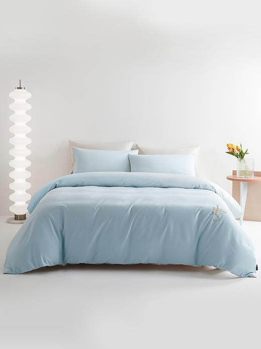 佳丽斯100支长绒棉四件套纯棉全棉床上用品轻奢高级感床单床笠款 商品图0