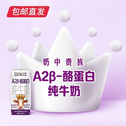 现代牧业三只小牛a2型B-酪蛋自纯牛奶 200ml*10盒/箱*2【包邮直发】 商品图3