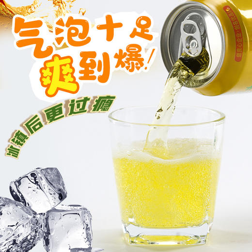 卡丁诺菠萝啤果味型碳酸饮料 整箱320ml*20听 商品图5