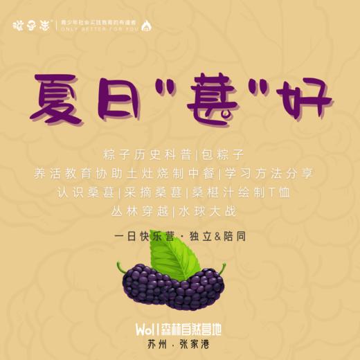 孩子志 | 夏日"葚"好 独立&陪同、自驾/大巴 张家港营地【会员价】 5/25(周六)、5/26(周日) 一起桑椹汁绘制T恤，包粽子，分享学习方法，丛林穿越，水球大战…. 商品图0