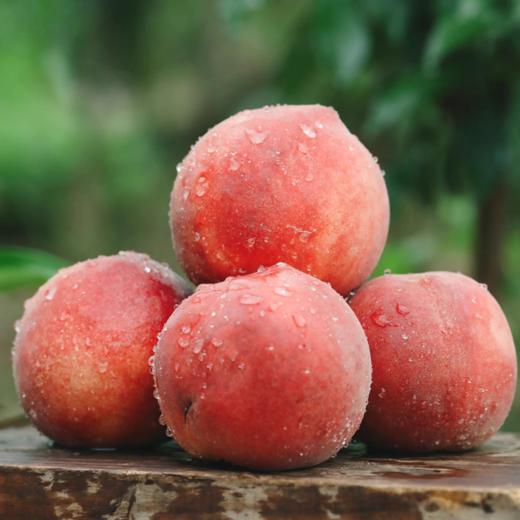 【中果】正宗北京水蜜桃 |水果 商品图0