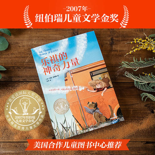 乐祺的神奇力量 商品图1