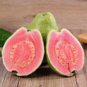 【软糯香甜，萌萌的少女心~】胭脂红心芭乐 红心番石榴 软糯新鲜水果红心芭乐-QQ