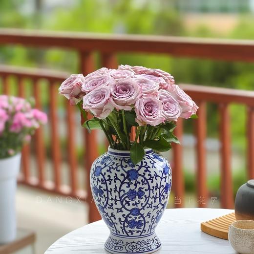 【AB级气场玫瑰.第二件减10元】10支/份  长60cm 商品图4