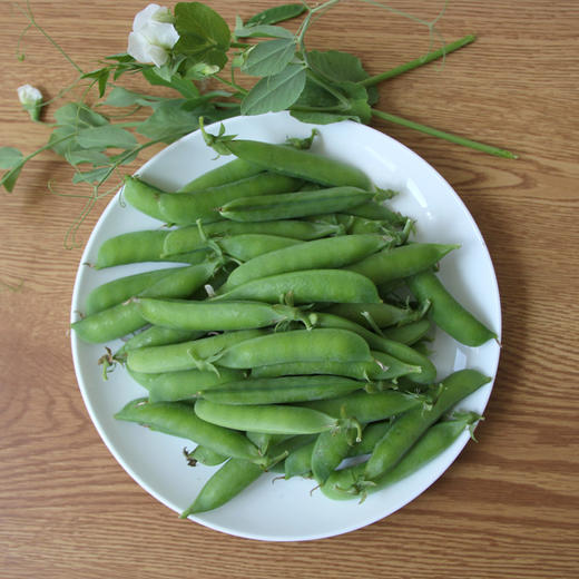 豌豆荚 500g 商品图1