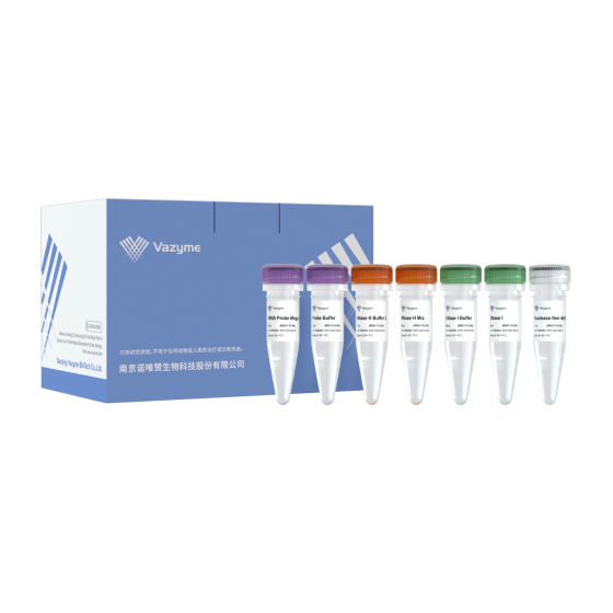 Ribo-clean rRNA Depletion Kit Mega (Bacteria）