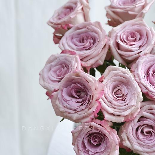 【AB级气场玫瑰.第二件减10元】10支/份  长60cm 商品图10