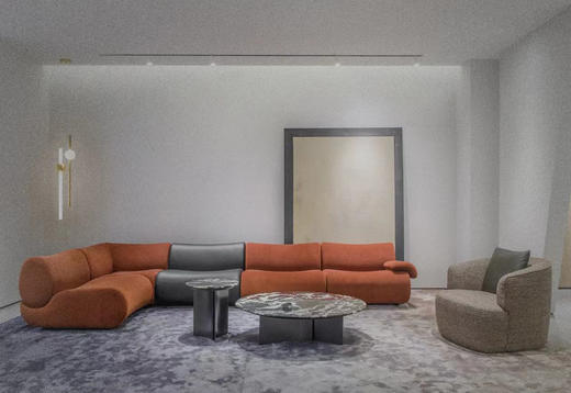 莱恩 休闲椅 | 皮布面料可选，详询客服 商品图2