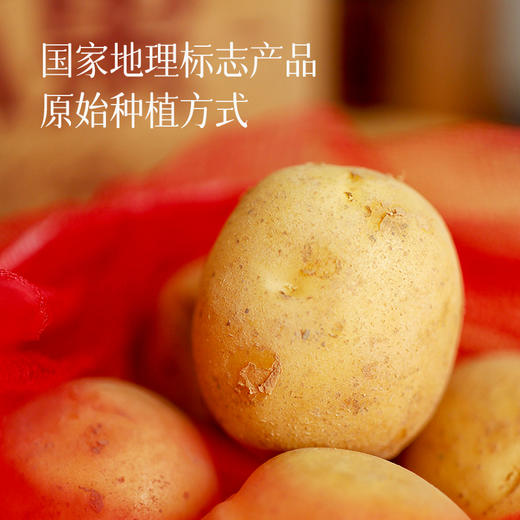 【预售3天】【恩施小土豆】5斤装 （乒乓球大小） 采用最原始种植方式  硒含量出众  皮薄肉紧  粉糯清香  百吃不厌  怎么做家里老少都爱吃~ 商品图3