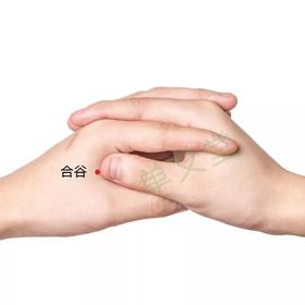  25种配穴方法；治痛翻10倍！（最全收藏版一） 