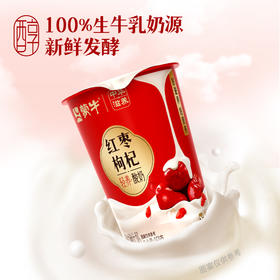 红枣枸杞轻养酸奶160g/杯 武汉市内整件配送上门