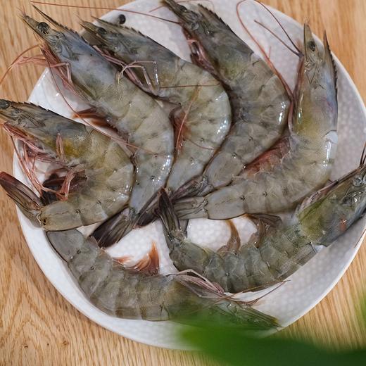 南美厄瓜多尔白虾/深海打捞/原装盐冻大虾/优质蛋白/肉质紧实弹牙【品牌多仓就近发货】 商品图1