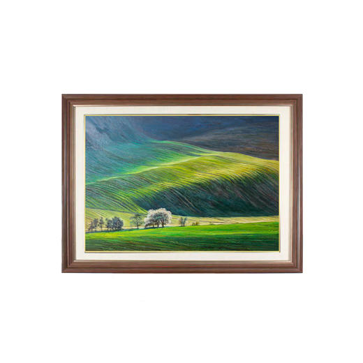 过道画 生生不息 商品图0