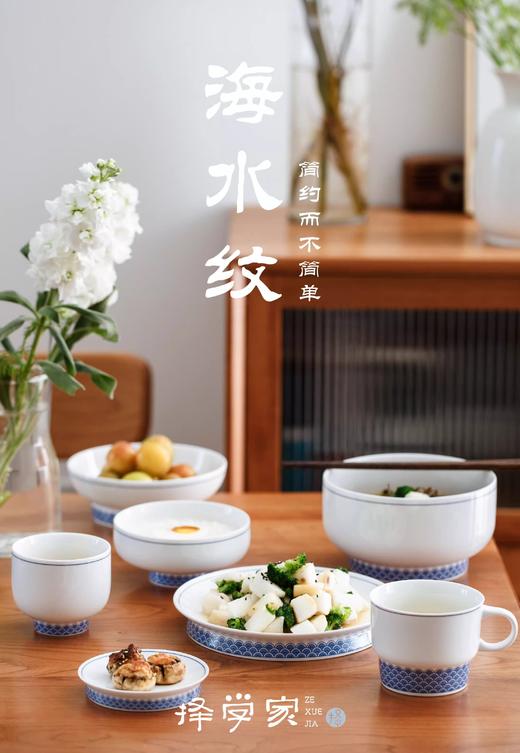 【直播间专属】择学家 日常美好海水纹 碗碟套装家用乔迁新居景德镇青花餐具套装 商品图0