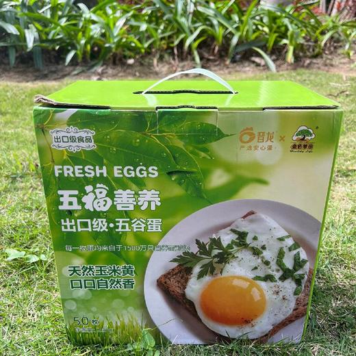 福利！福利！五福善养鸡蛋，出口级·五谷蛋  天然玉米黄 、 口感细腻、鲜香嫩滑、蛋白Q弹  30枚送20枚 商品图5