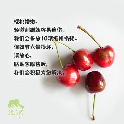 有机白鹿原樱桃（预售）| 合作生产 * Organic cherry of Bailuyuan | Coproduction 商品图2