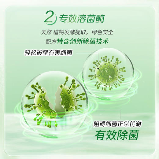 【自营】 立白 卫仕除菌洗衣液 雨林茶花 1kg/2kg 商品图2