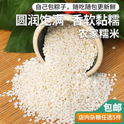 农家自种江米   圆润饱满 香软黏糯   端午包粽子 圆糯米   随吃随包更新鲜  可包粽子/糯米藕 五谷杂粮 400g 商品图1