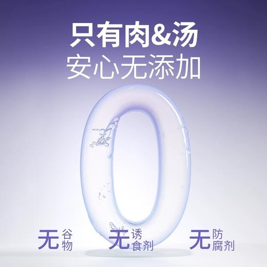 布兰德全价软罐头 主食伴侣汤包 商品图1