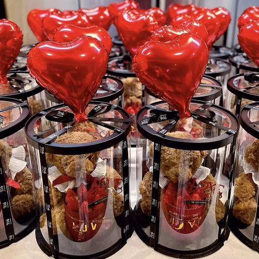 抱抱熊 商品图2