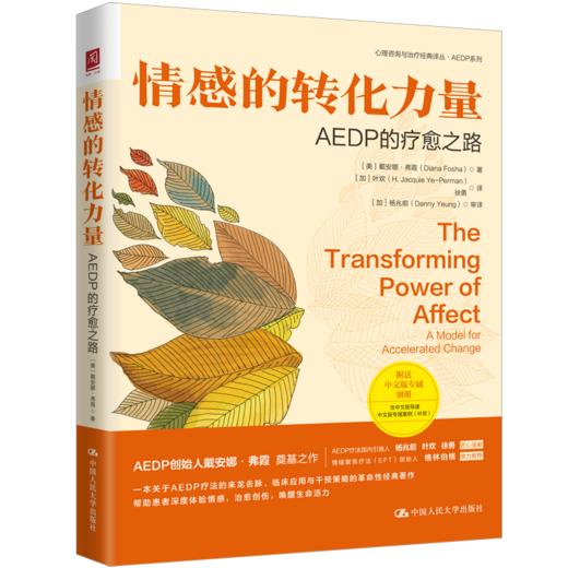 情感的转化力量：AEDP的疗愈之路 商品图1