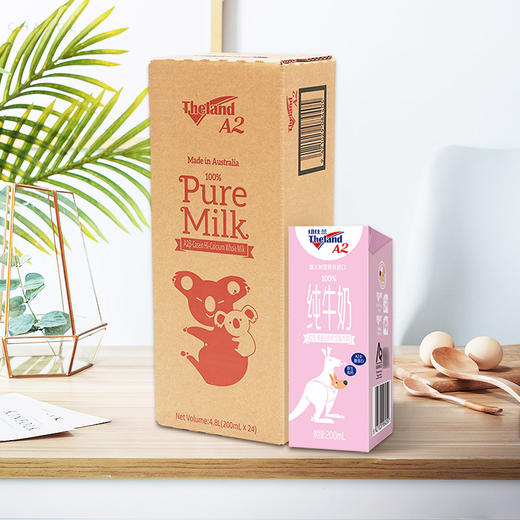 24瓶 澳洲进口 纽仕兰A2β酪蛋白高钙全脂牛奶200ml*24  A-2578 商品图6