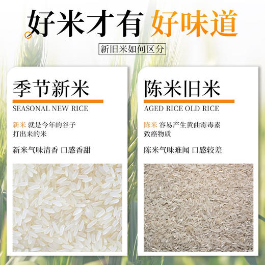 首米 五常大米 有机稻花香大米 5kg 有机牛卡礼盒 商品图7