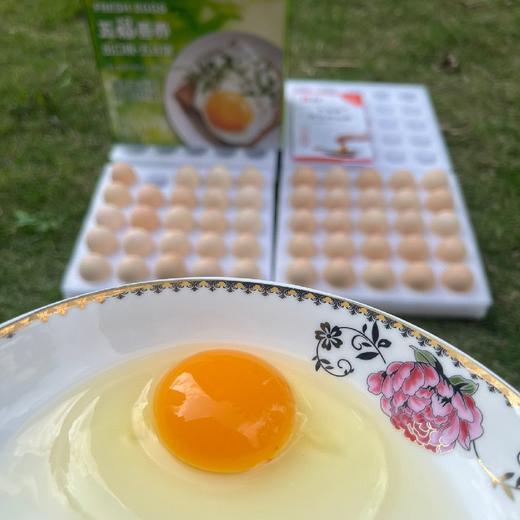 福利！福利！五福善养鸡蛋，出口级·五谷蛋  天然玉米黄 、 口感细腻、鲜香嫩滑、蛋白Q弹  30枚送20枚 商品图3