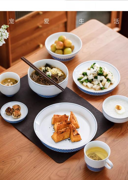 【直播间专属】择学家 日常美好海水纹 碗碟套装家用乔迁新居景德镇青花餐具套装 商品图2