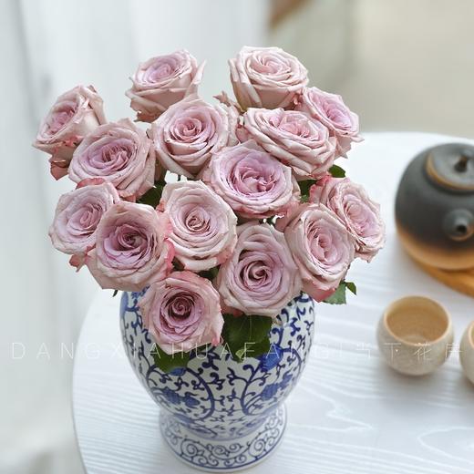 【AB级气场玫瑰.第二件减10元】10支/份  长60cm 商品图5